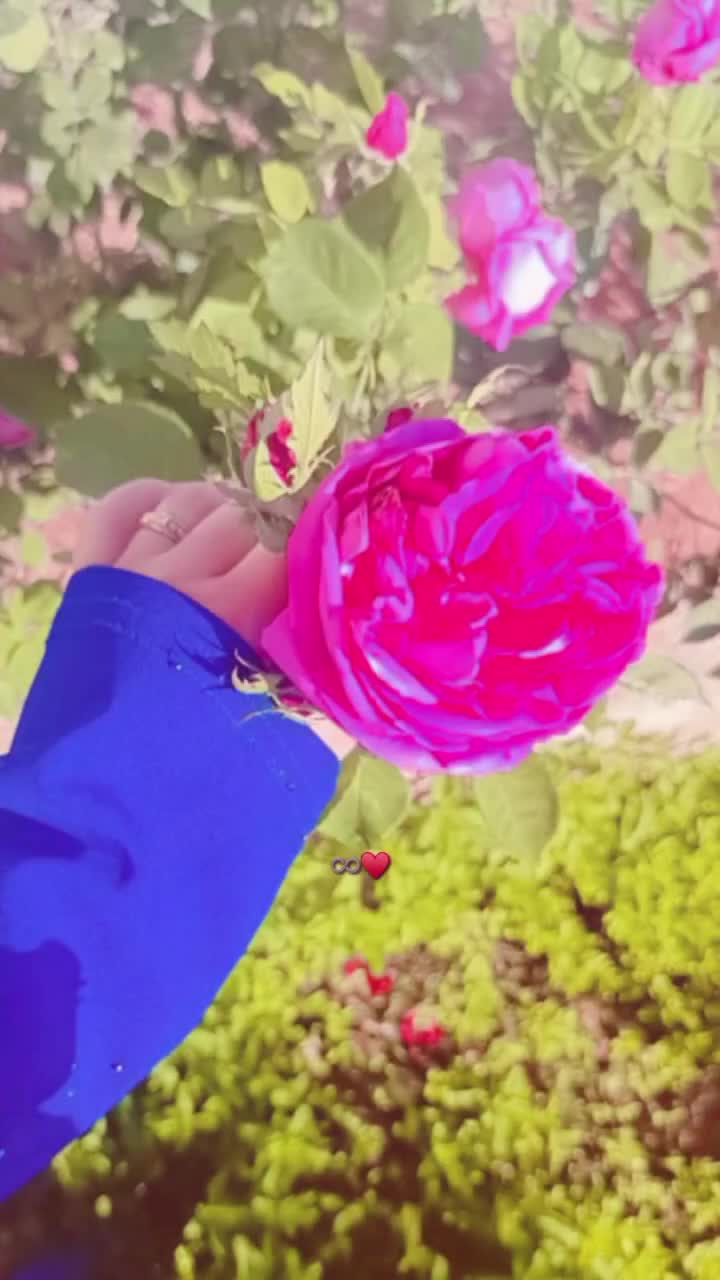 @أم أيـــات🌝🎀