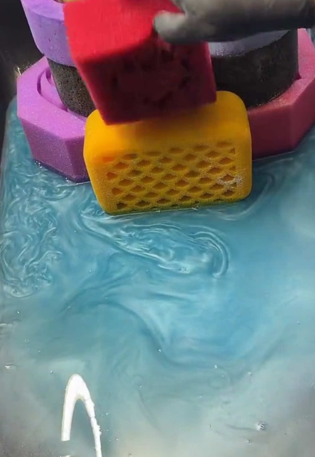 @shutdafoca