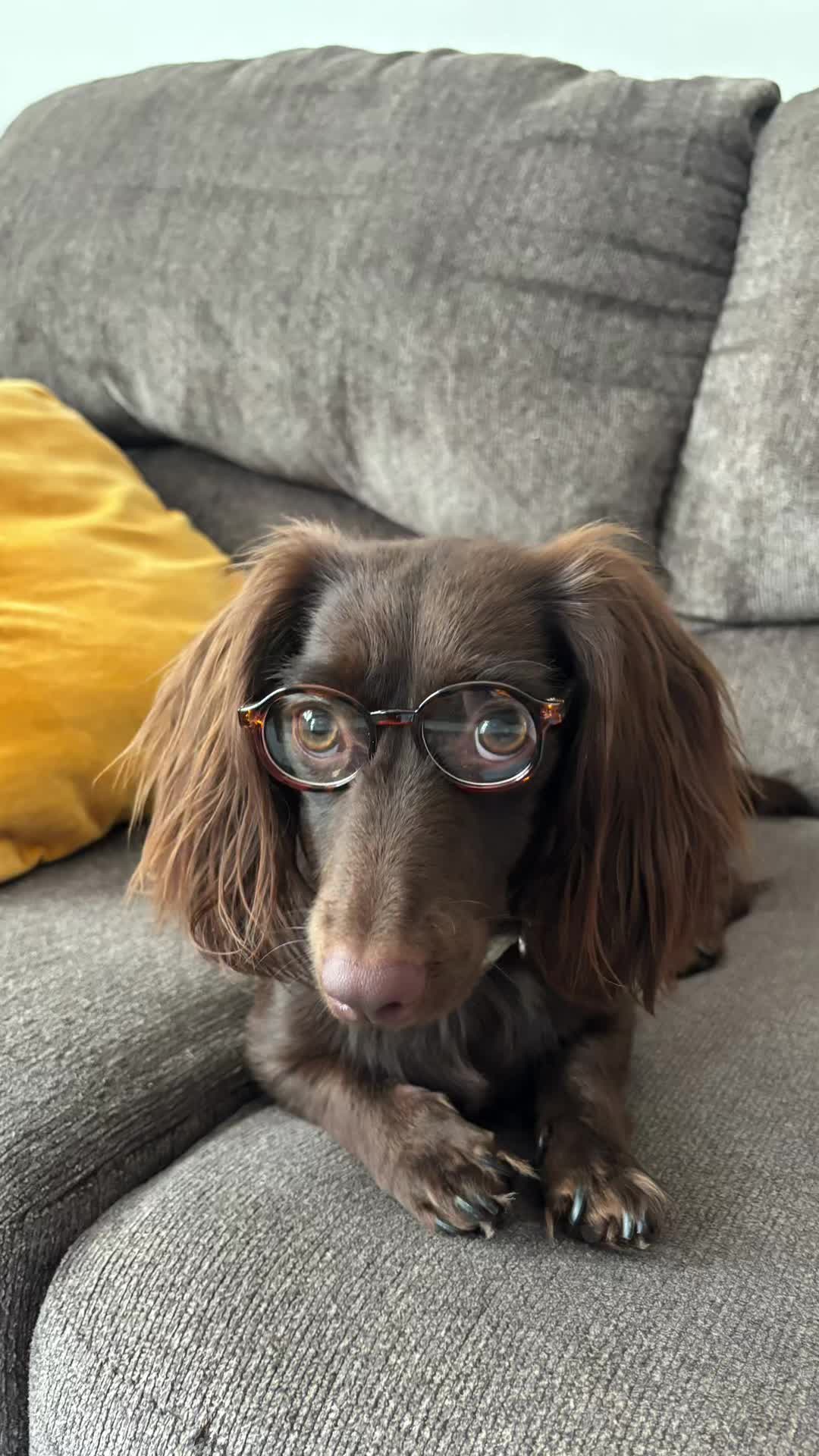 @🌟🌟