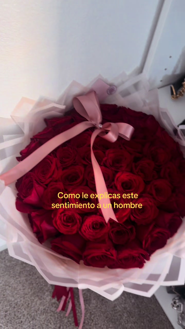 @Ale Quintero