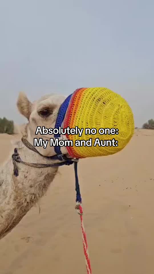 @chrisTeebaby