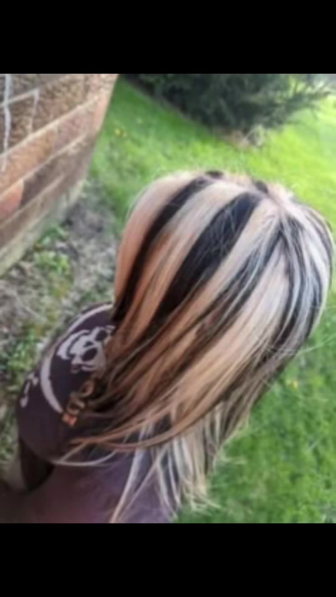 @ᥫ᭡.