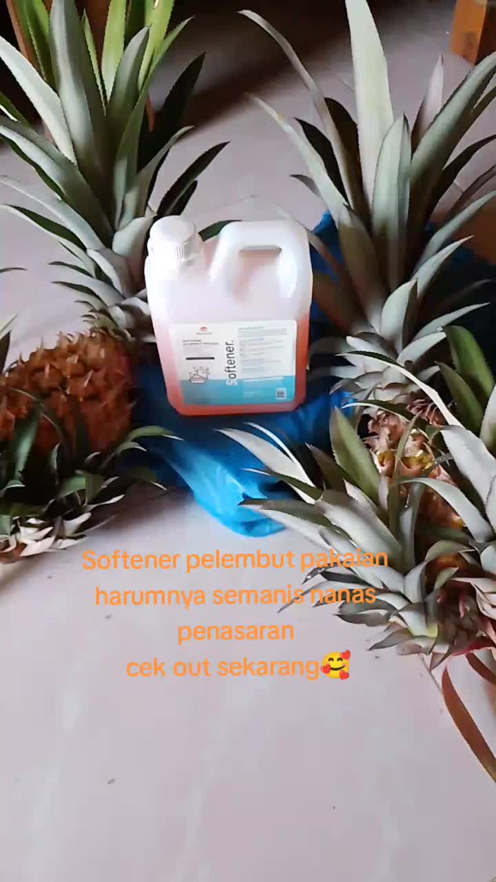 @Bintang Kehidupan