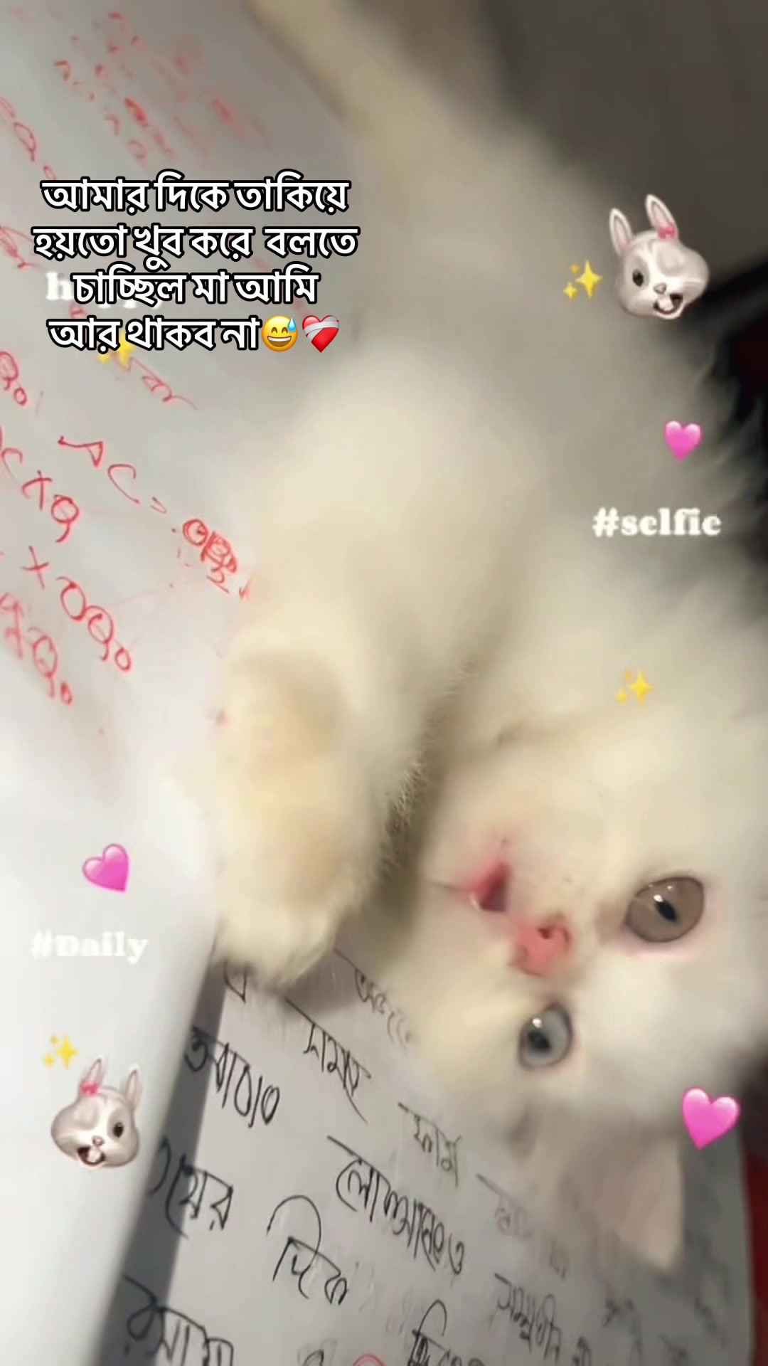 @𝘙𝘰𝘴𝘩𝘯𝘺🧸