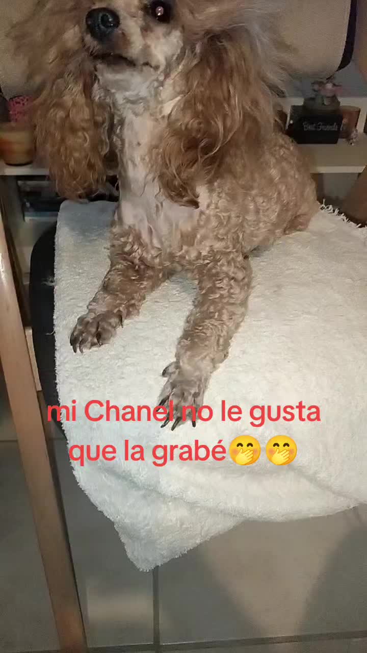 @Silvanna Lafontaynne