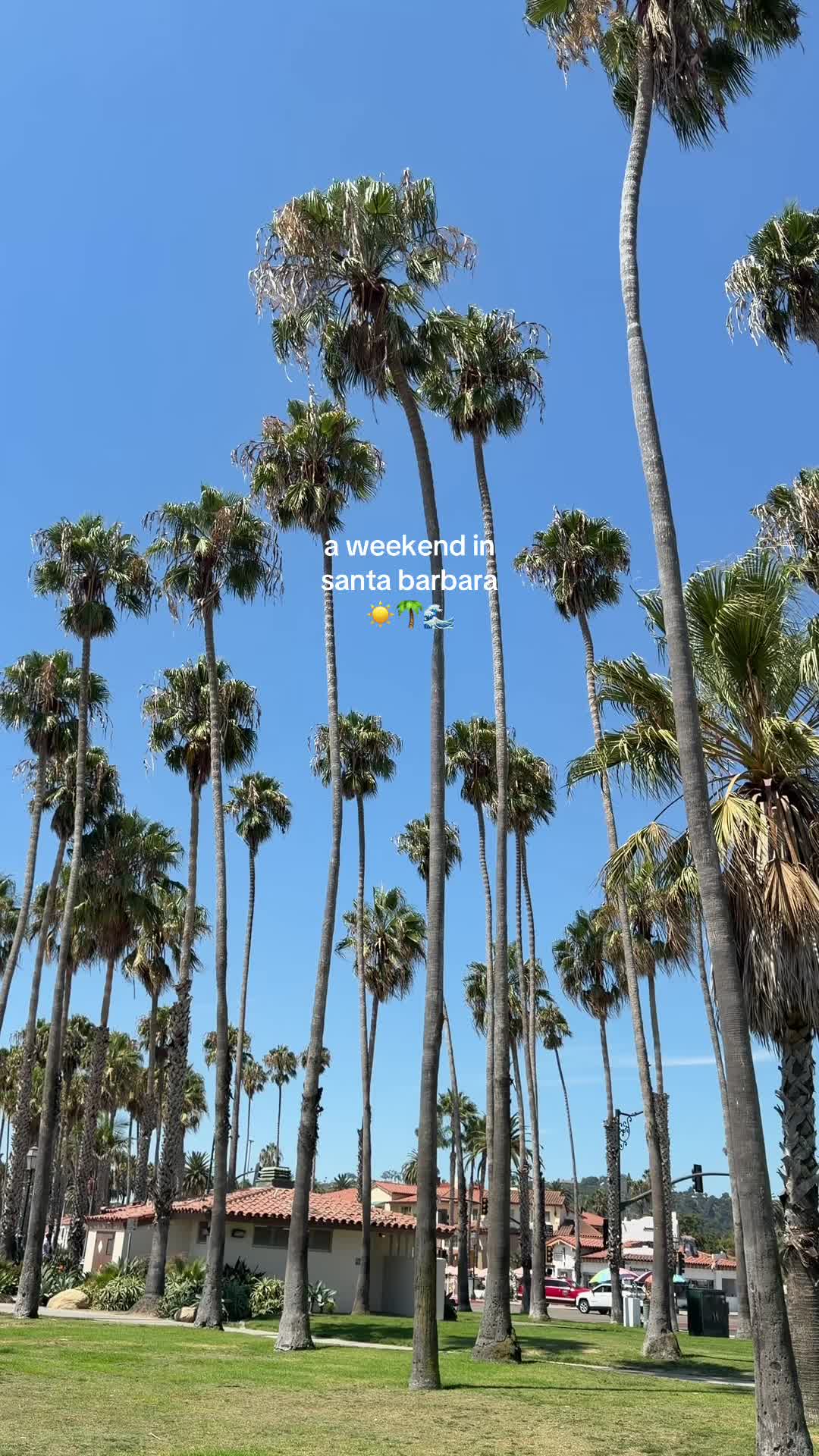 @Matt & Shannon | Travel ๐๐๐