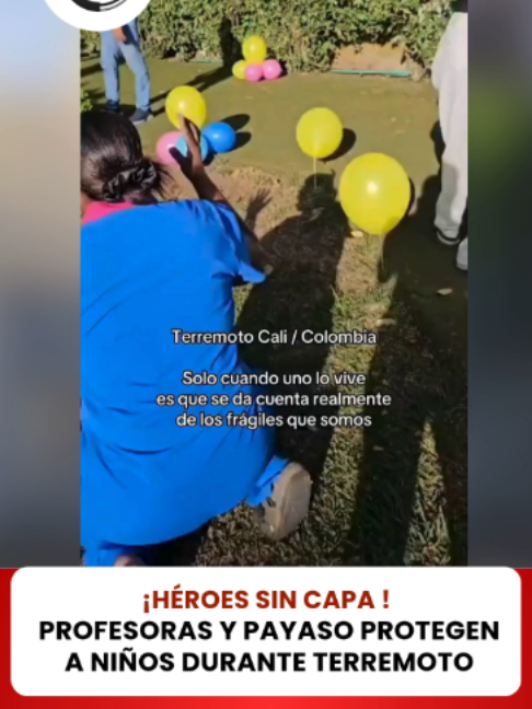 @elveedordigital