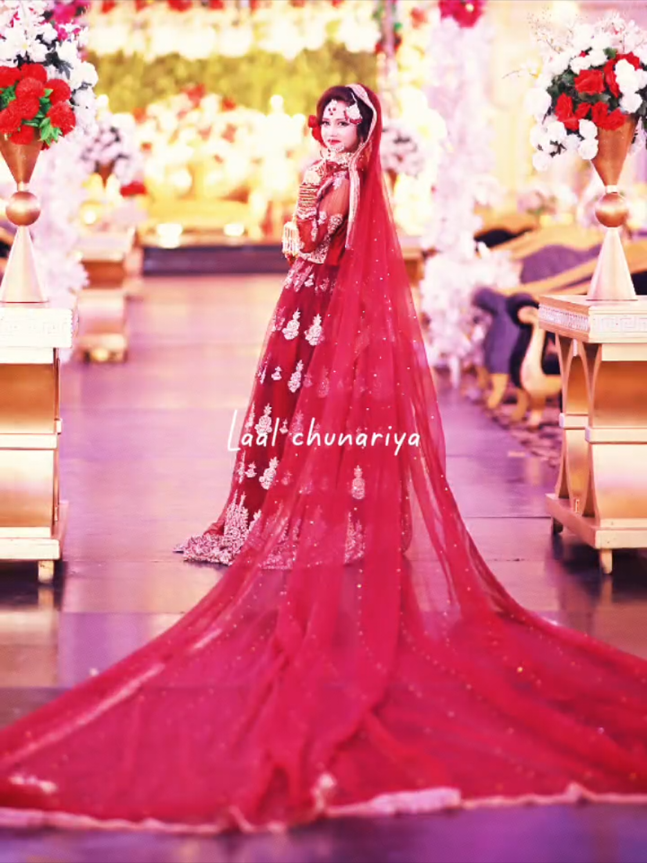 @Seemal Zain ki Duniya ❤️