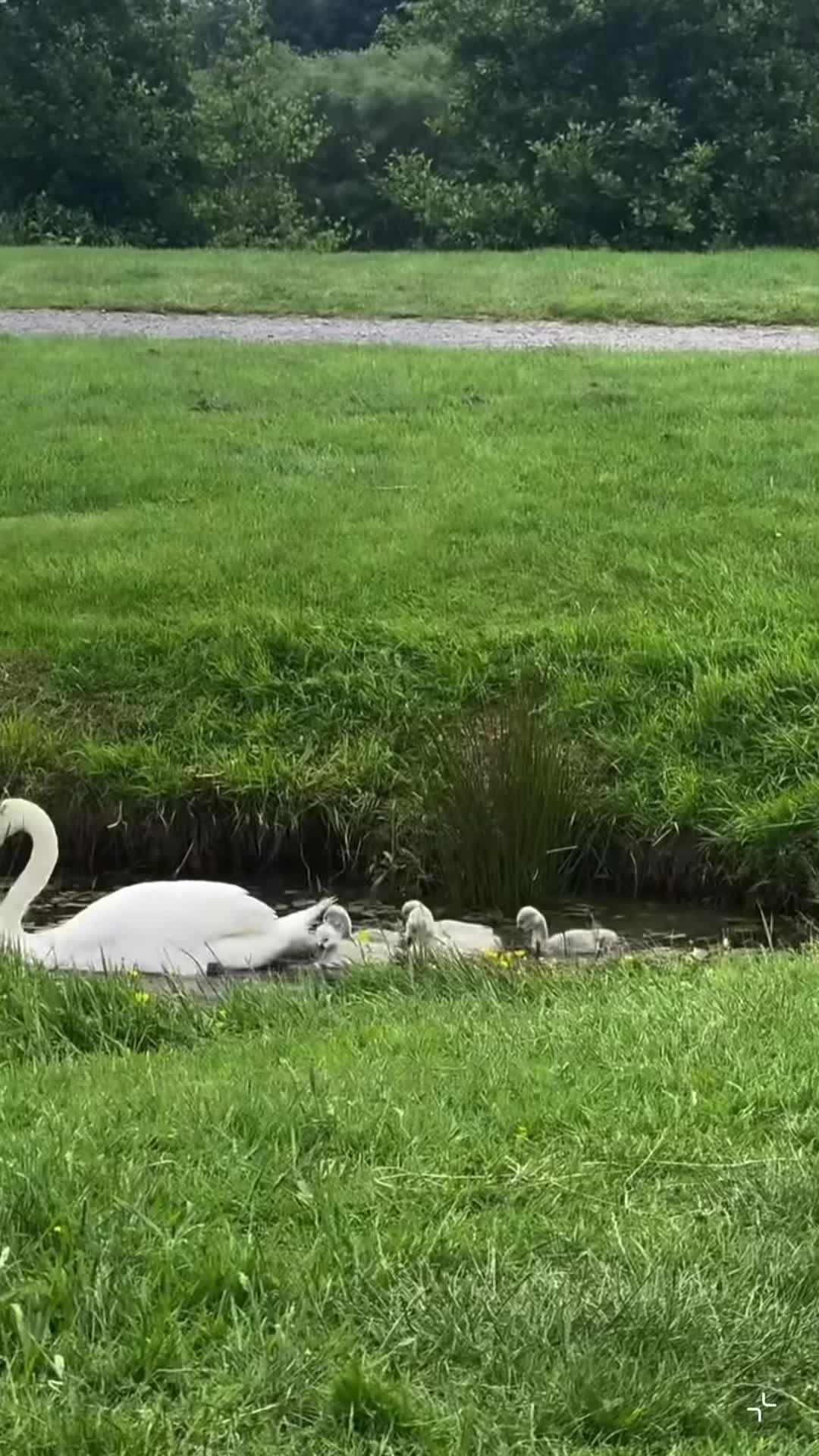 @My Daily Dose of Aww