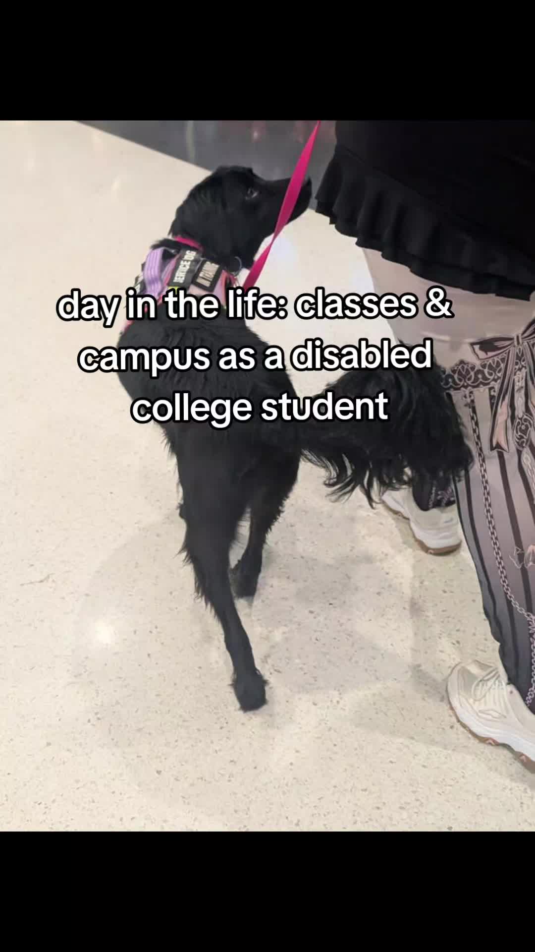 @dylan_the_gothic_golden