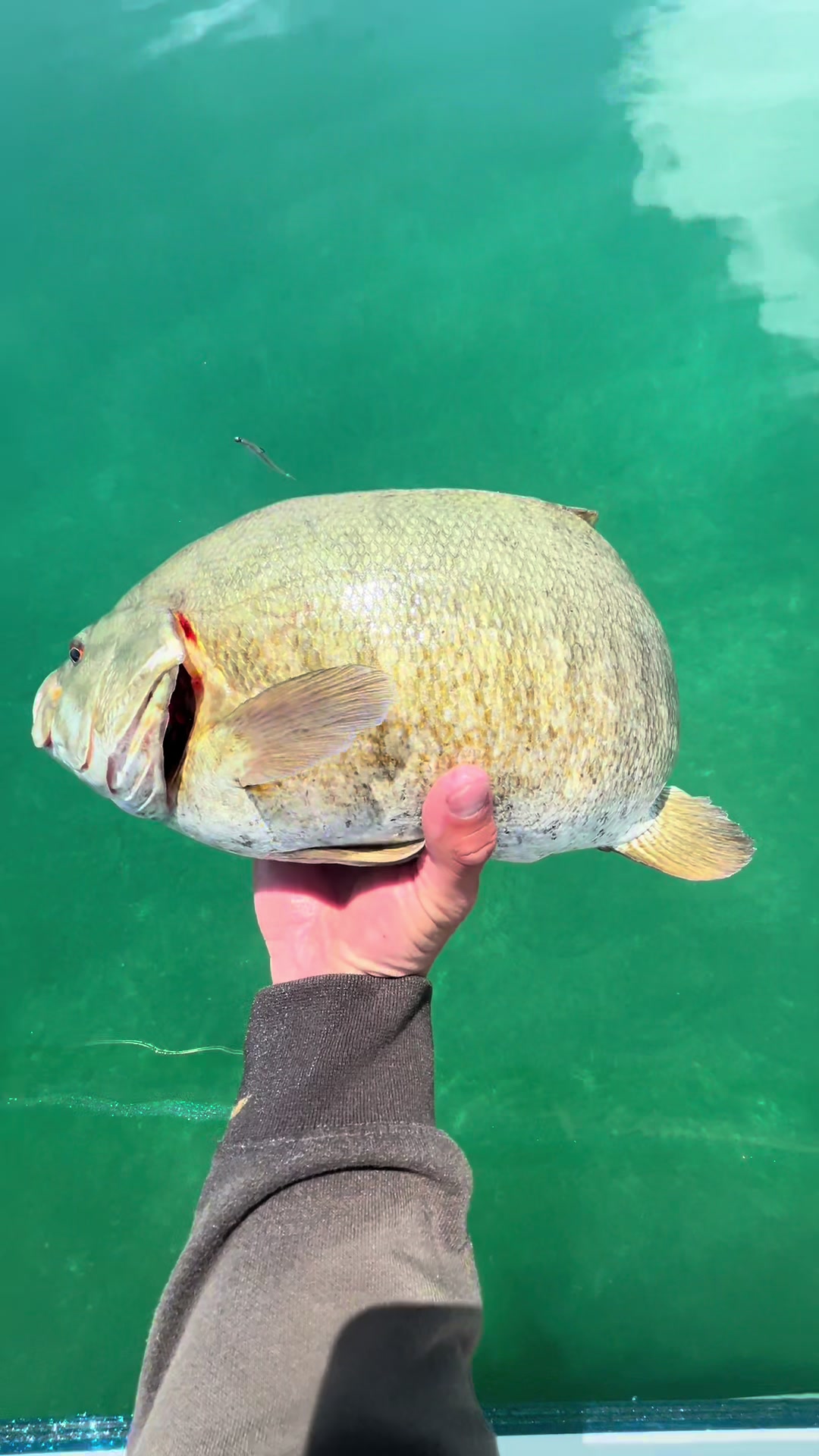 @BassMaxxers