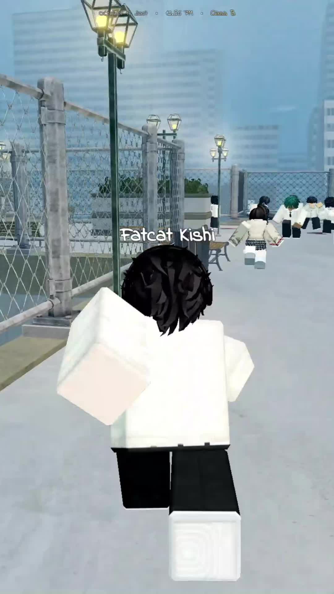 @fatuscats