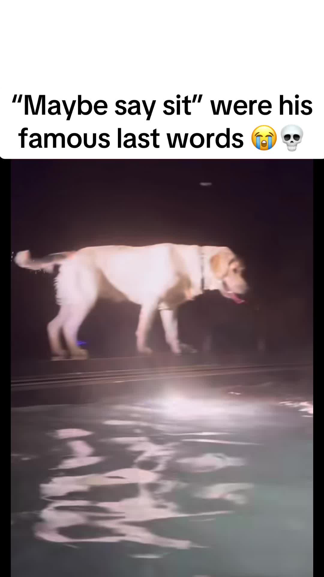@JMZ
