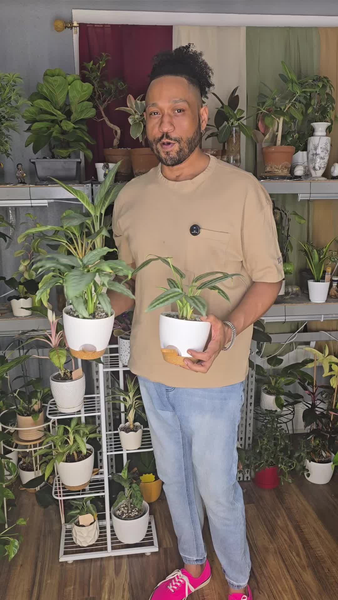 @JT - BigEGOPlants