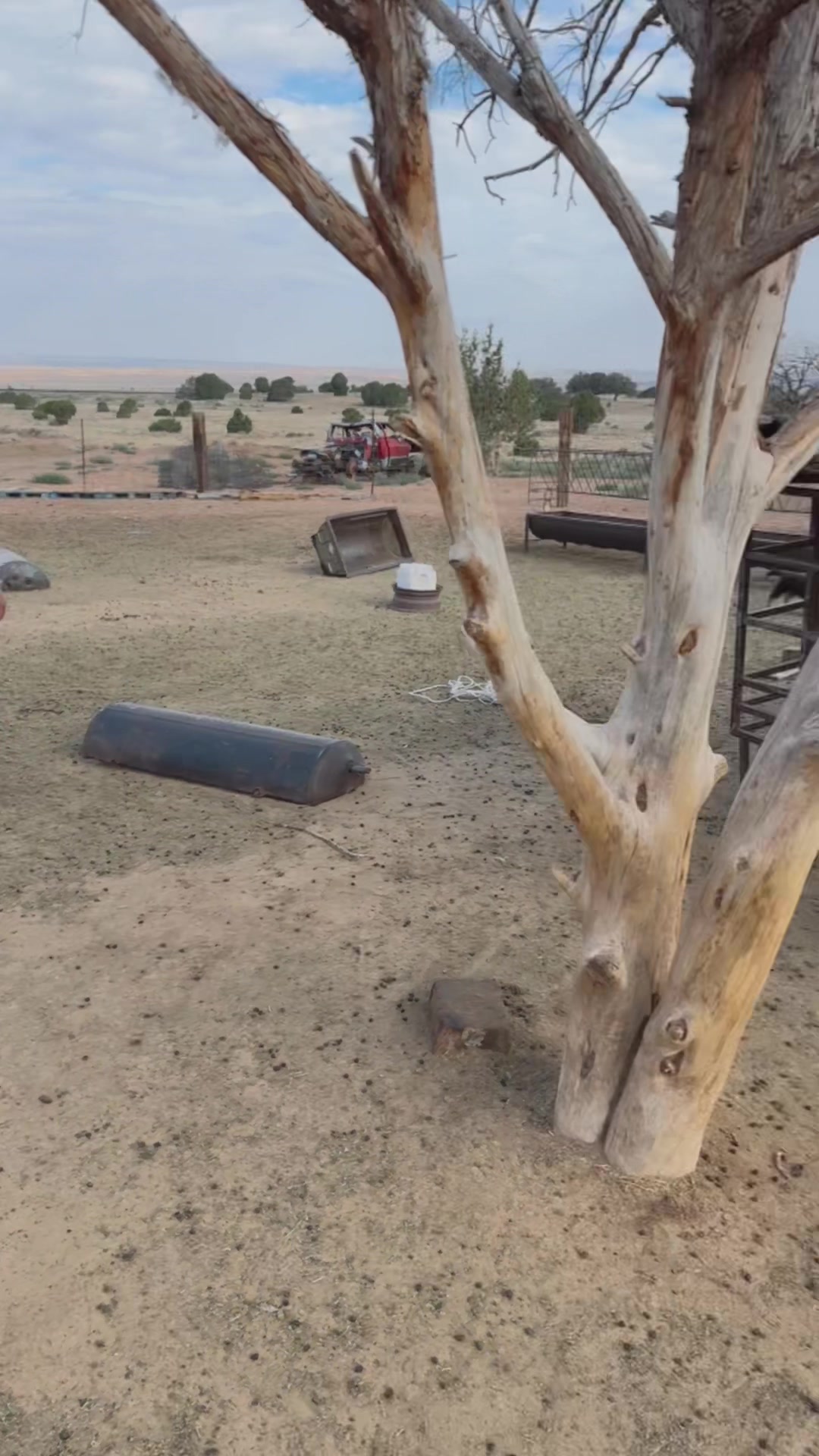 @Navajo Masani