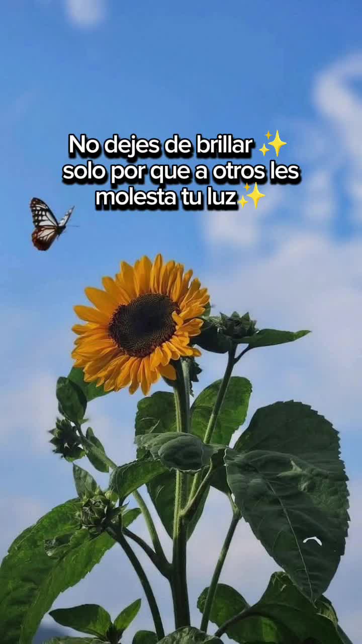 @🤎felisha🧡💚