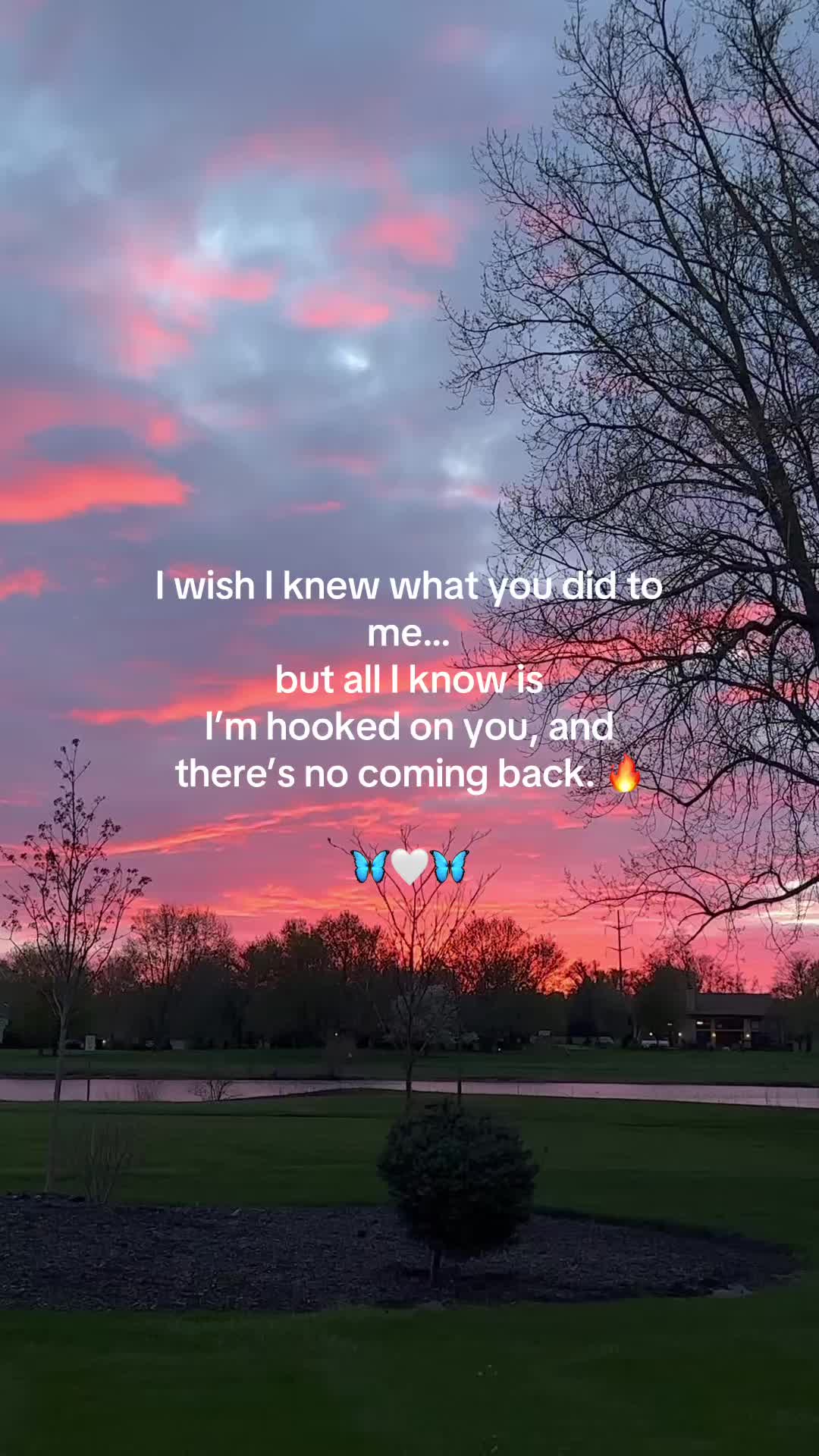@Snowangeld1