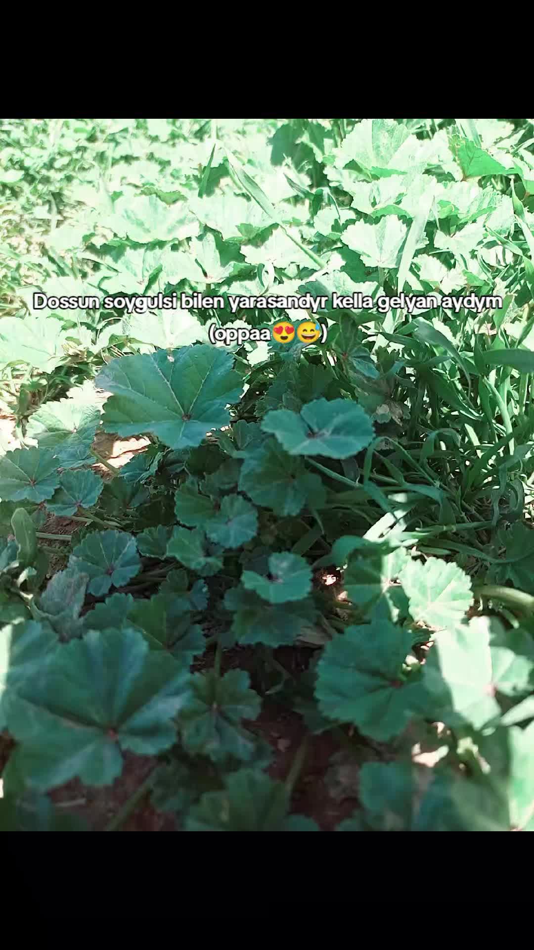 @Yazzyş_🥷