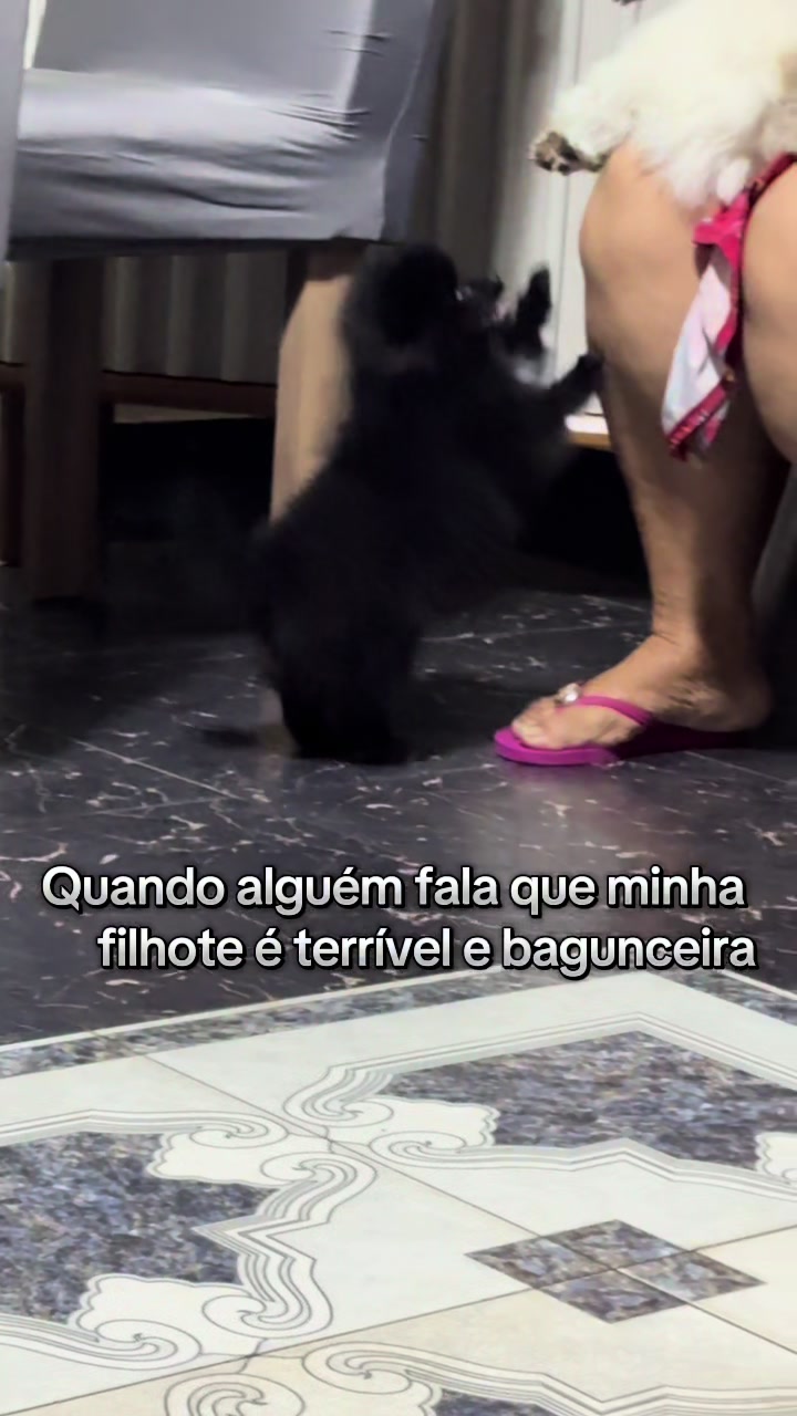 @Milena Melo