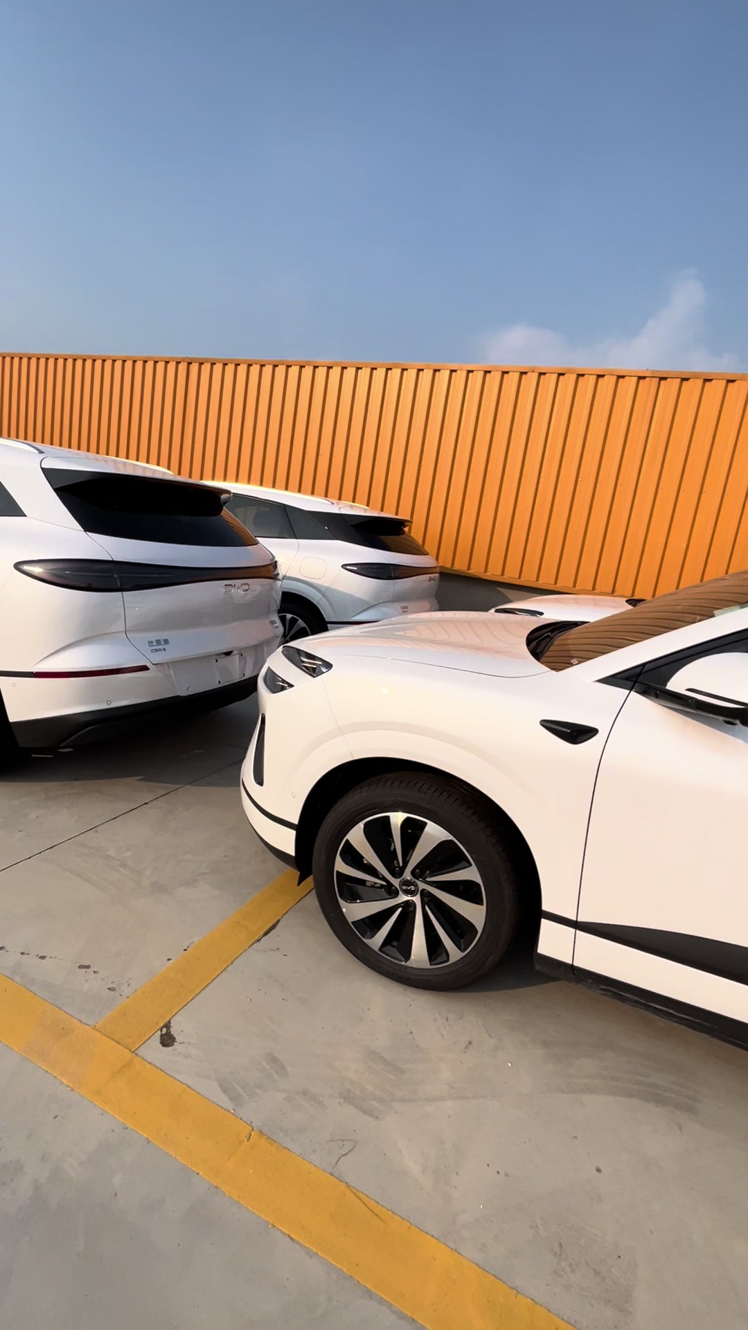 @China EV Export Cars Supplier