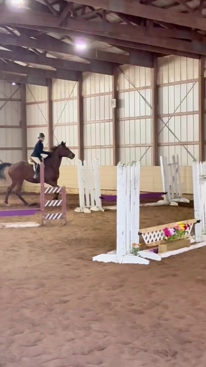 @🐎Aby 😌👌✨️