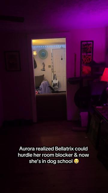 @🍄