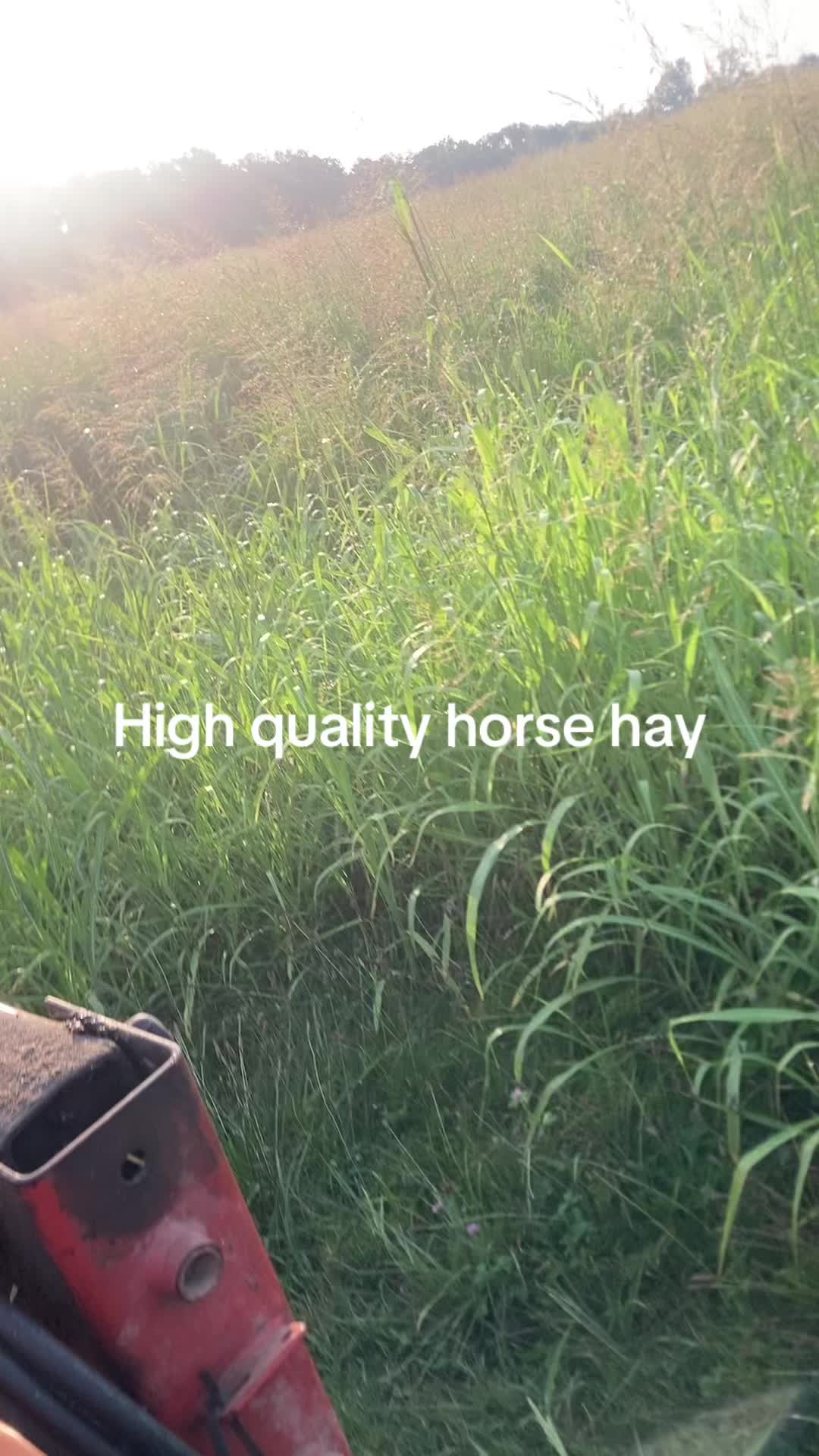 @Massey_Hub