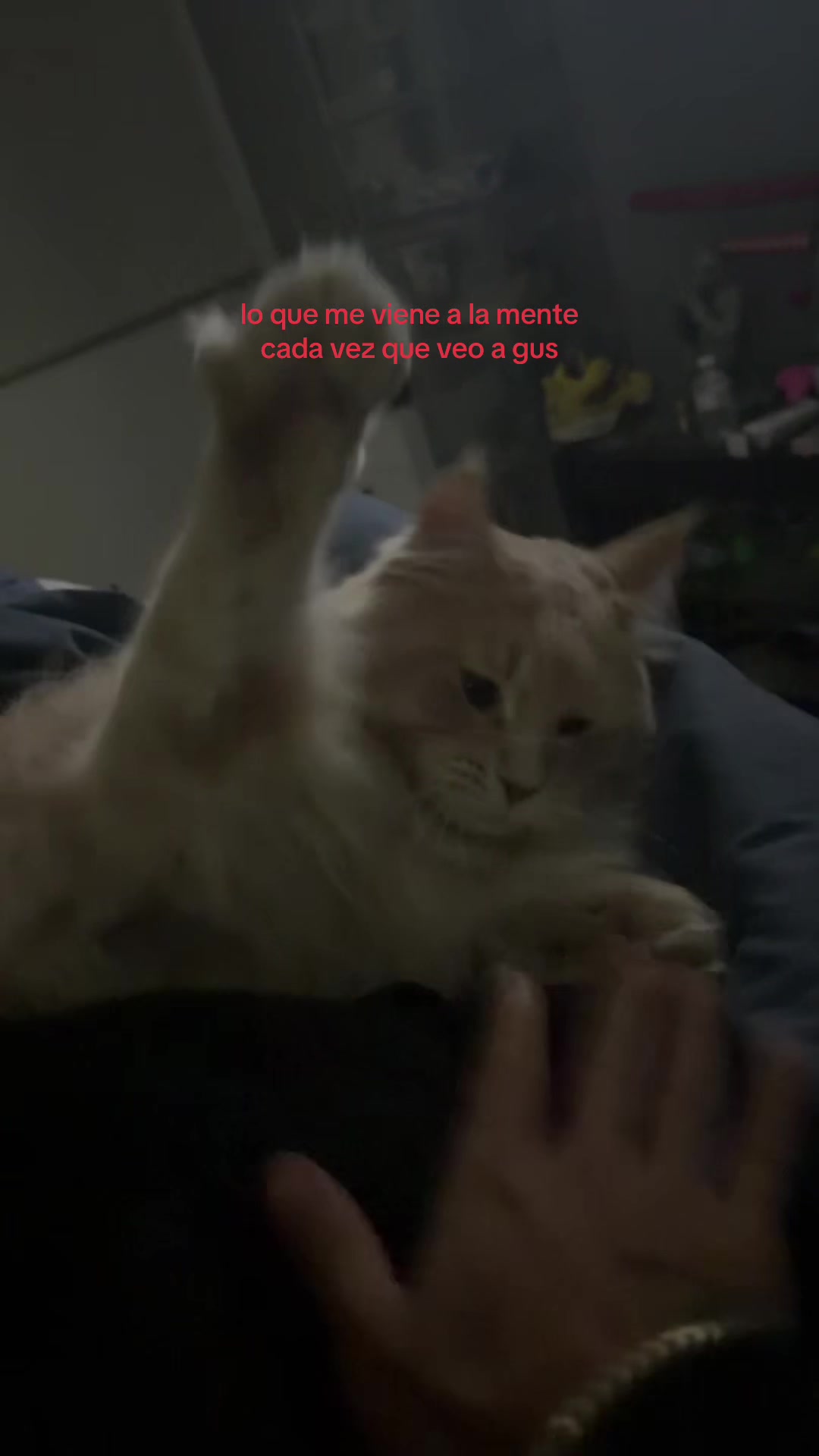 @carlitos