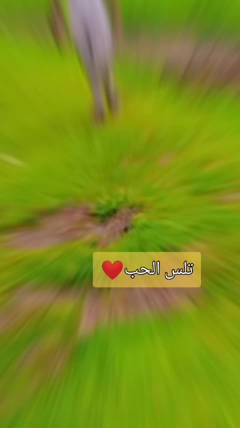 @البرنس ال بحشين 🤍101🫡🌏