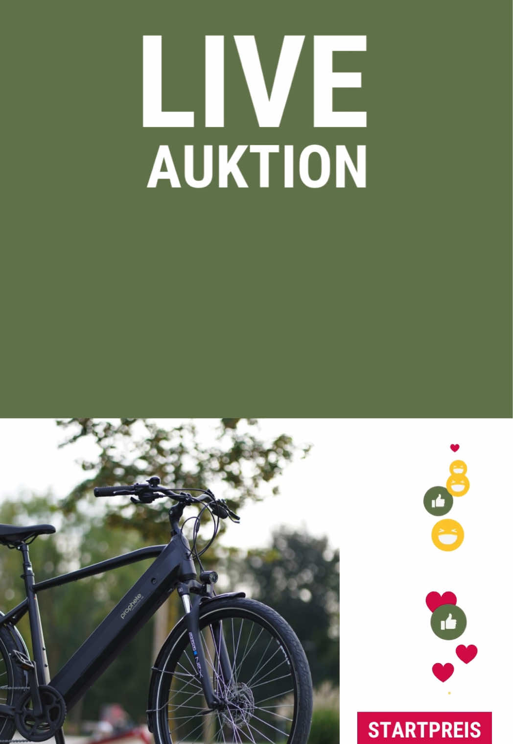@Prophete Bike