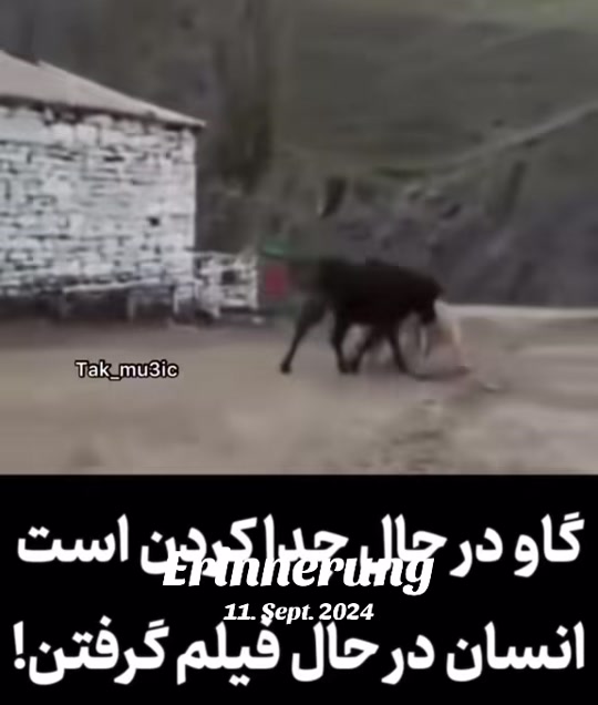 @Mohammad Soltani