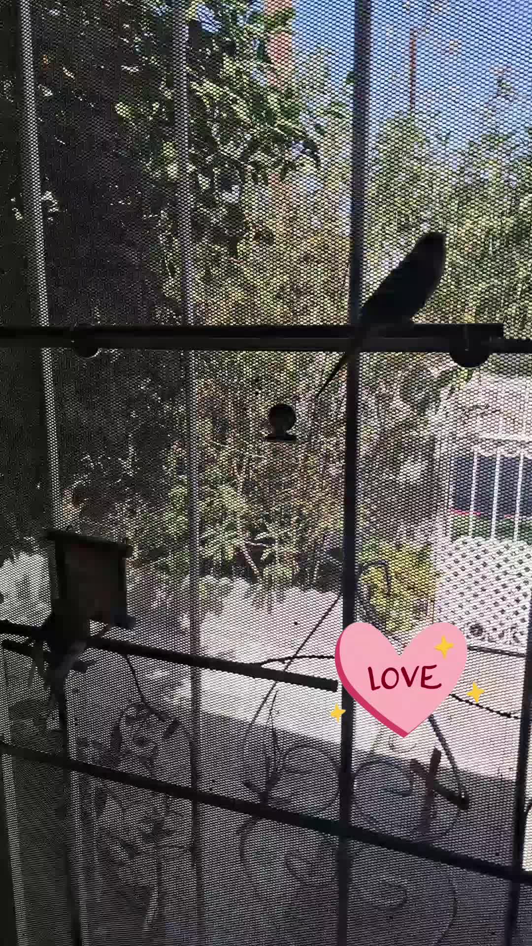 @Ada Madrina