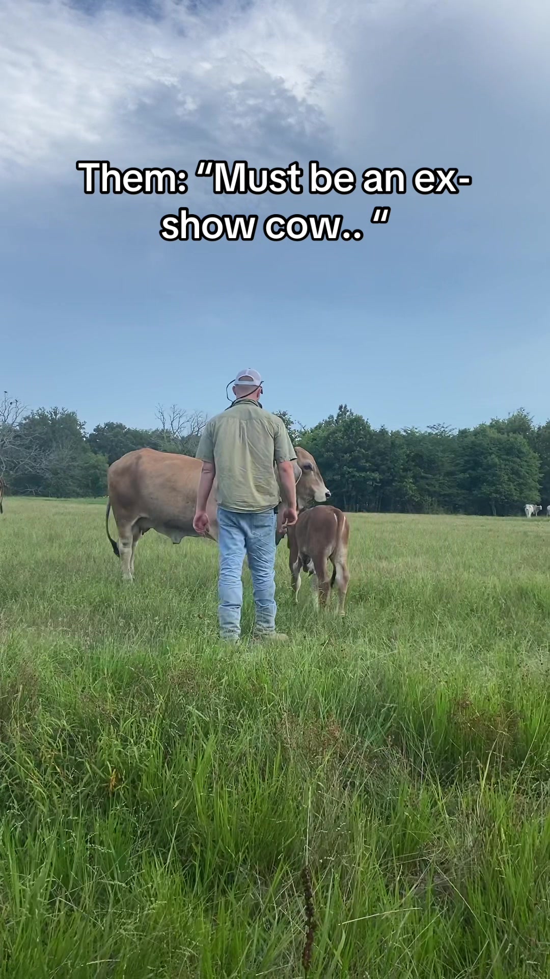 @The V6 Ranch