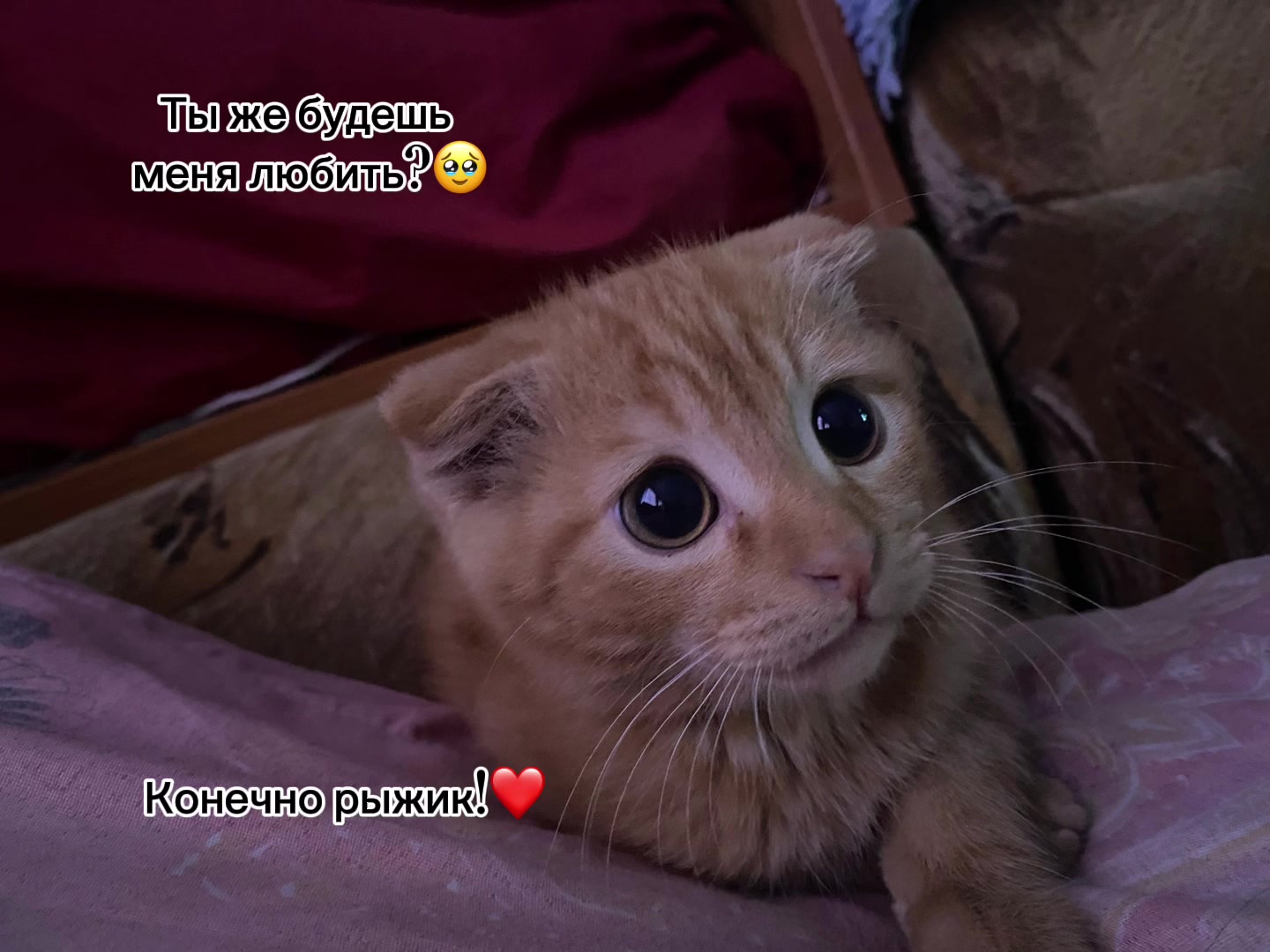 @︎꧁☆❤️❀Anetta❀❤️☆꧂