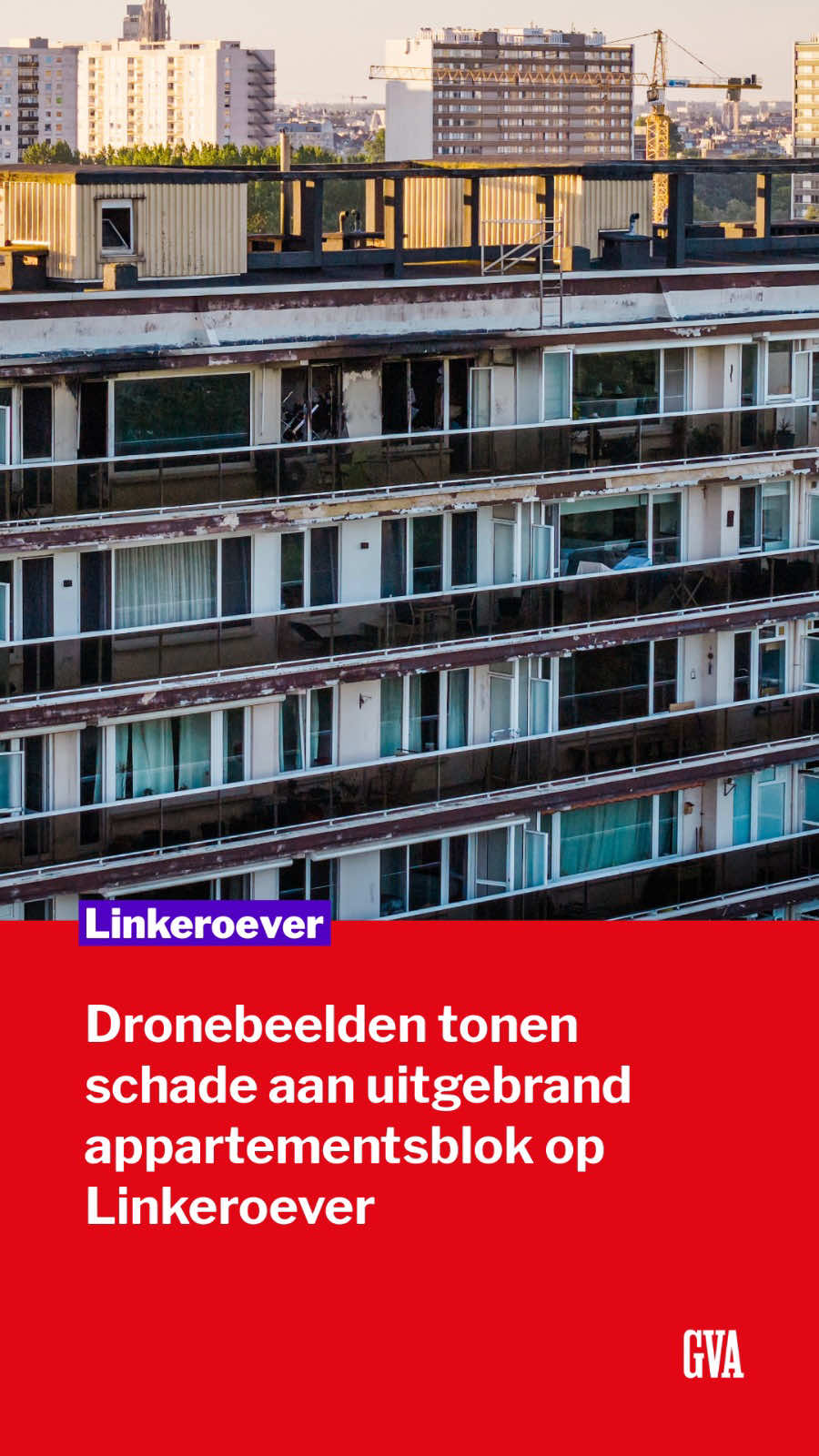 @Gazet van Antwerpen