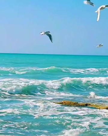 @BİR SERÇENİN GÖZYAŞ🕊️🕊️🕊️