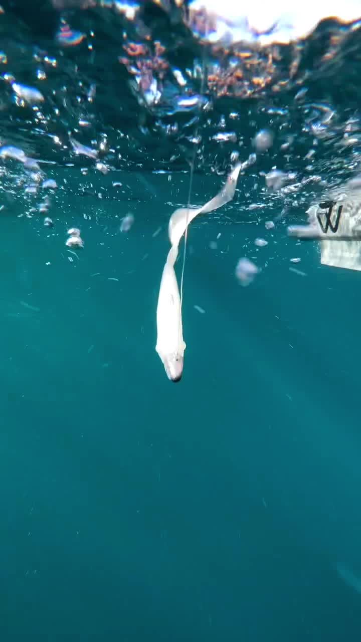 @Missingatsea