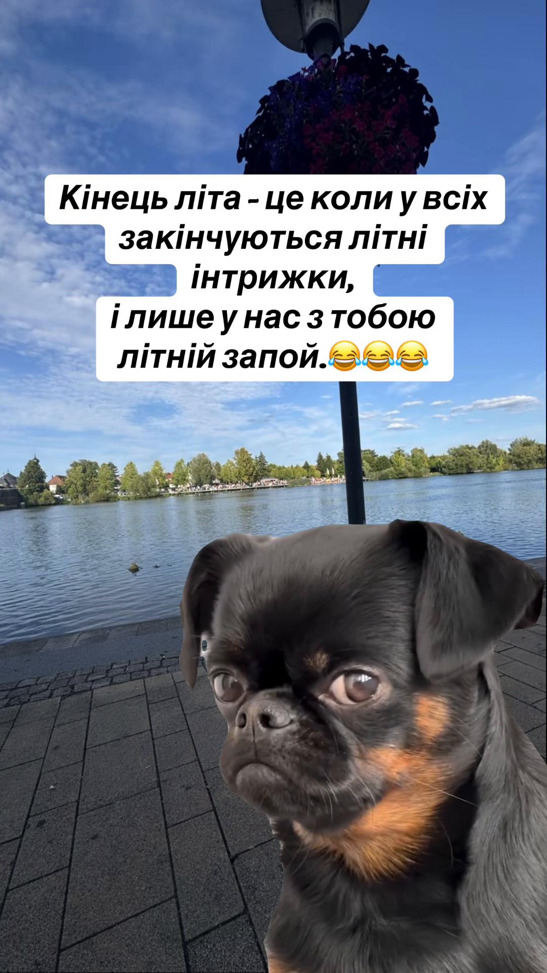 @🌻_Anzhela_🌾