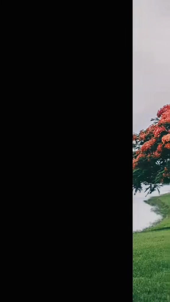 @የወሎ ልጅ ያቀስታዋ