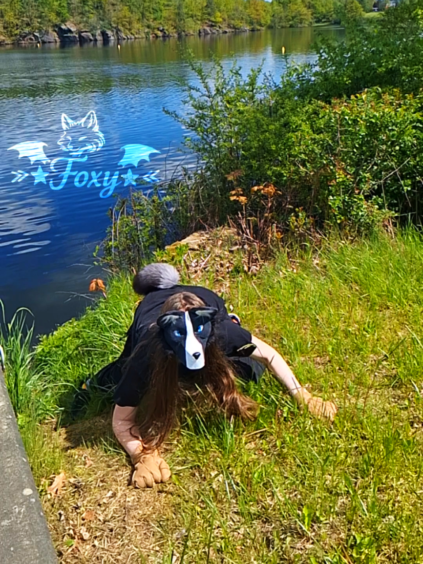 @&raquo;★Foxy★&laquo;