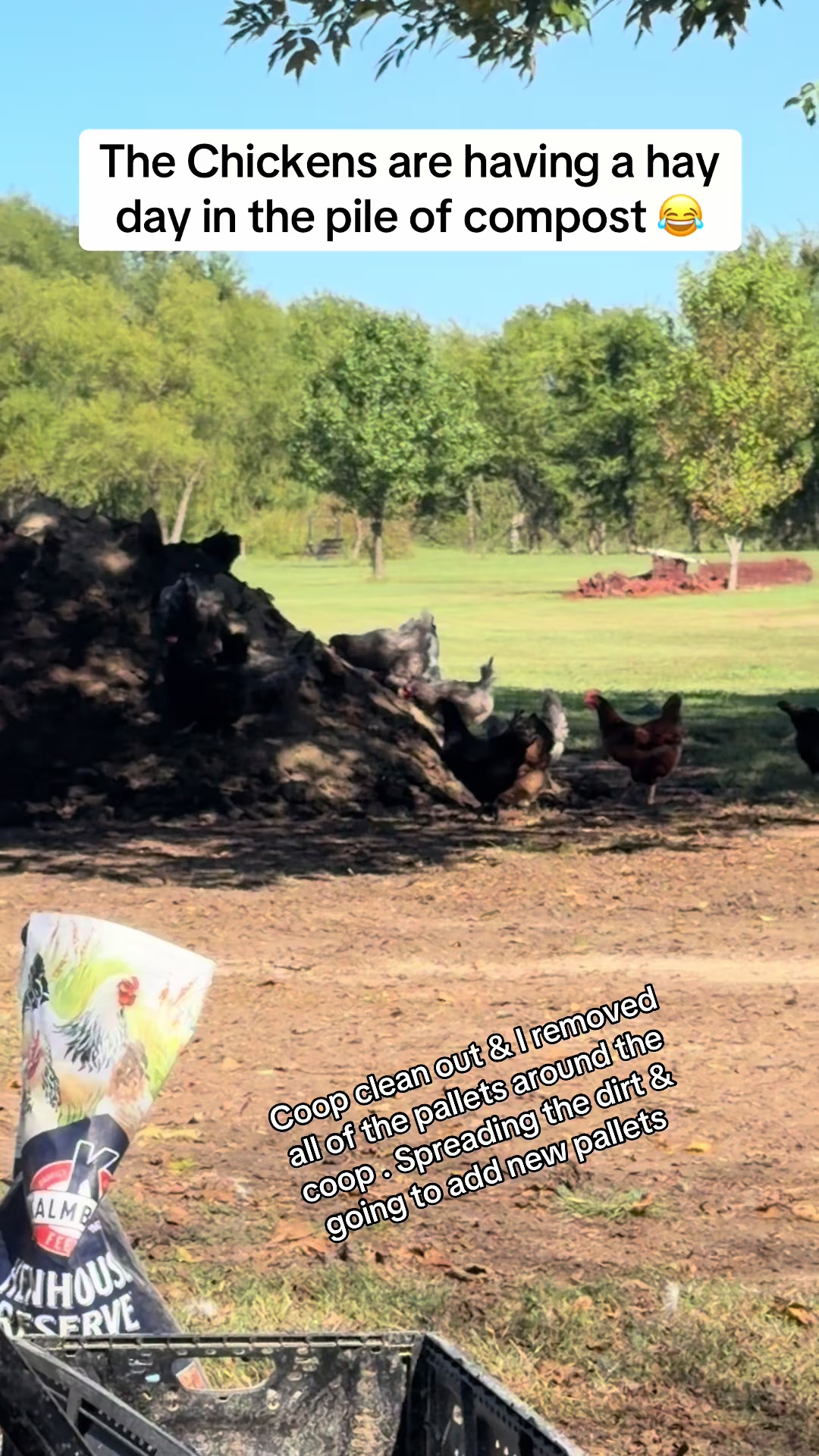 @NonniesFunnyFarm