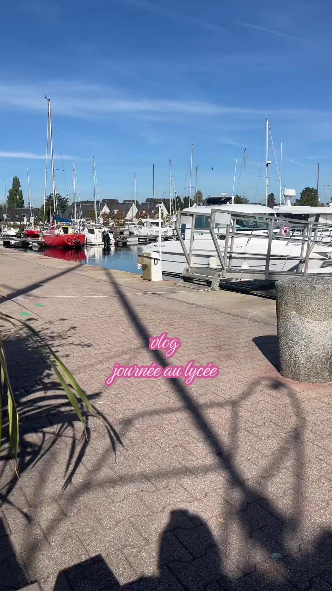 @𝒟𝒿𝒶𝓂𝒾𝓁𝒶
