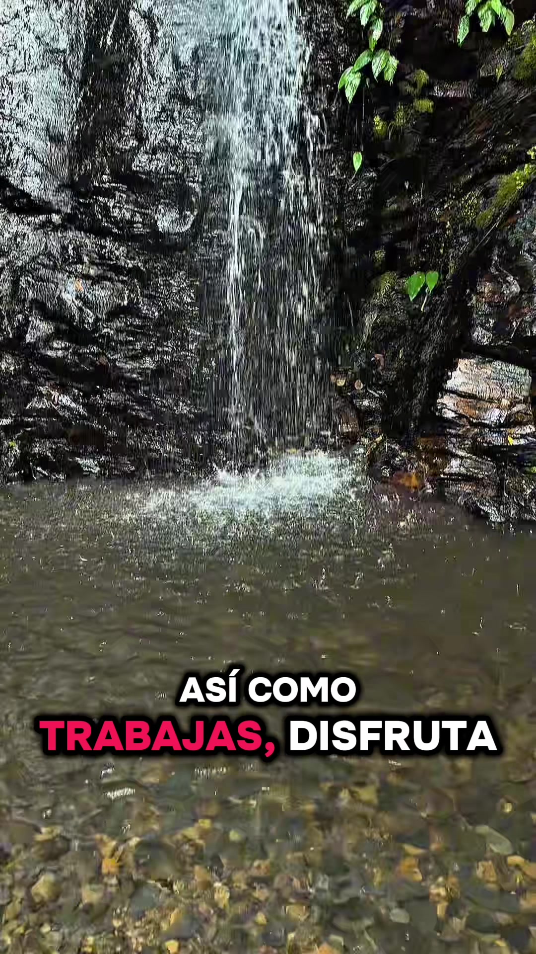 @StephanoDelCastillo