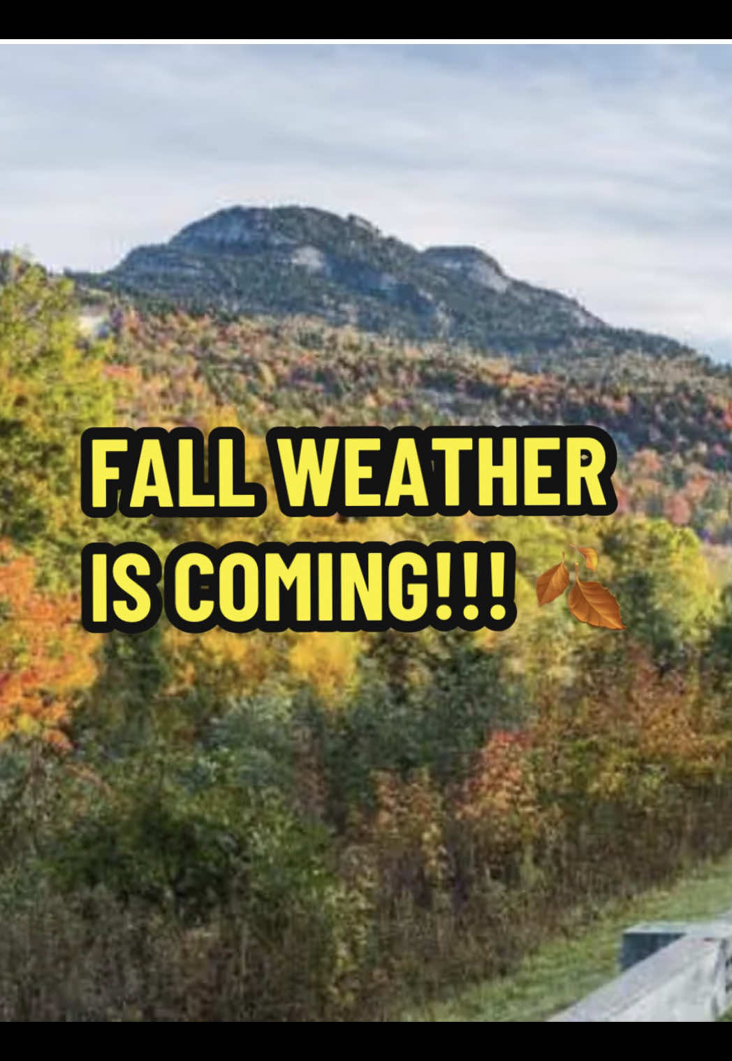 @WRAL_michaels