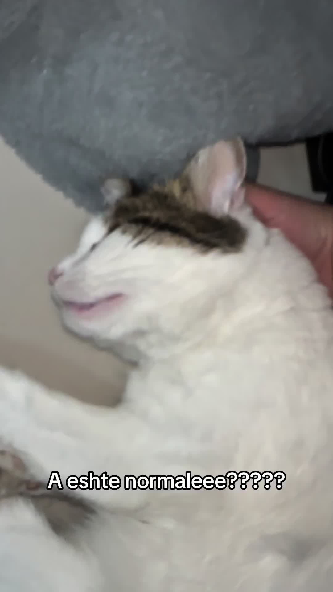 @Kiki