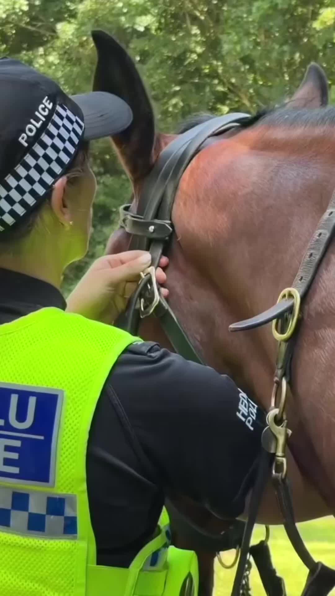 @South Wales Police