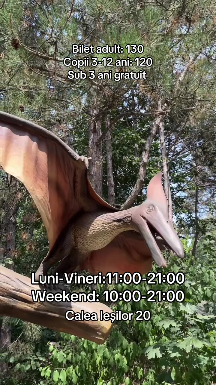 @DinoPark Chișinău