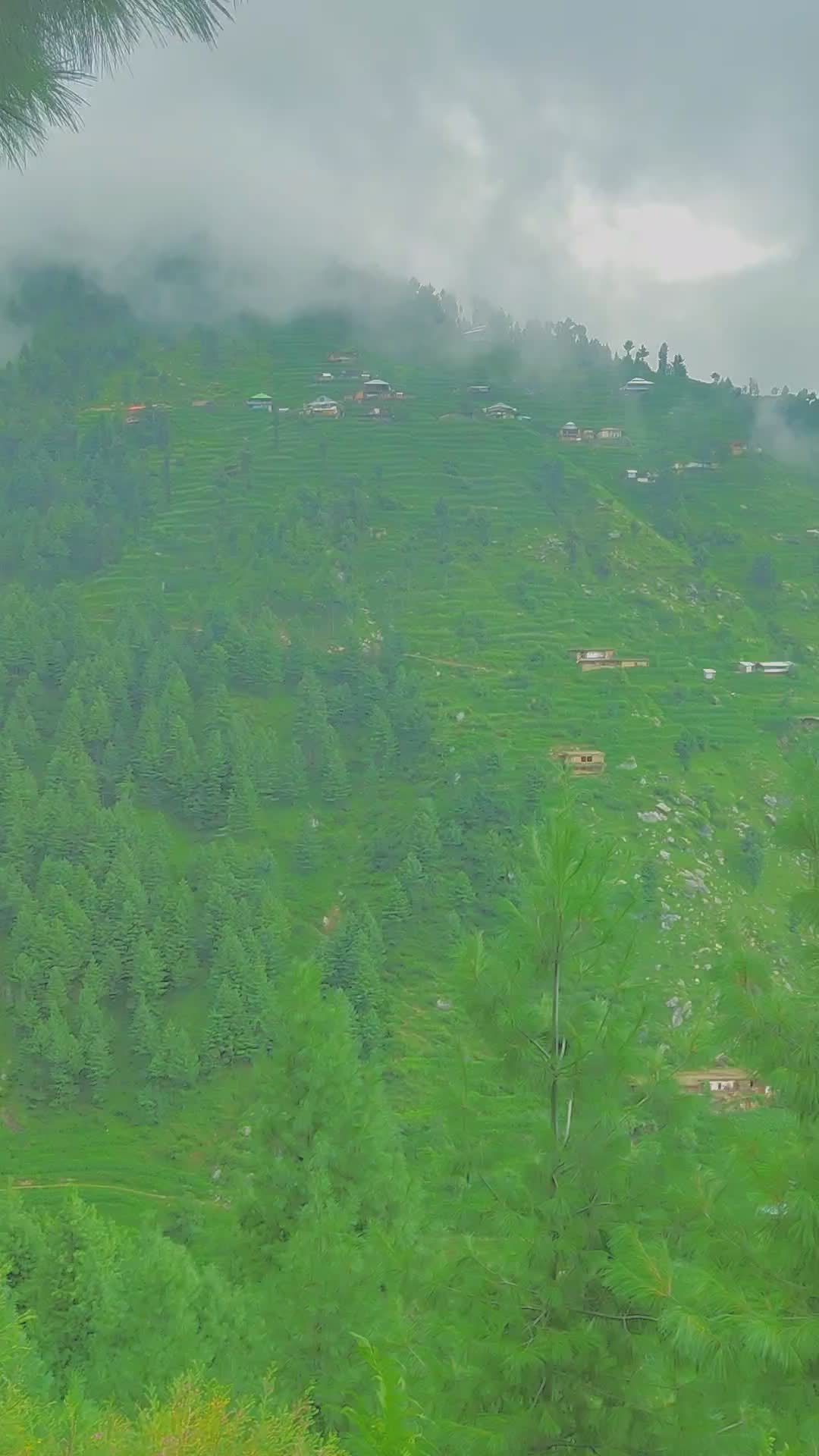 @ZainKhan135