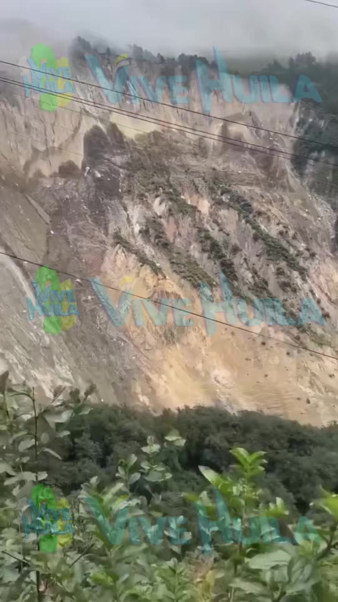 @Vive Huila