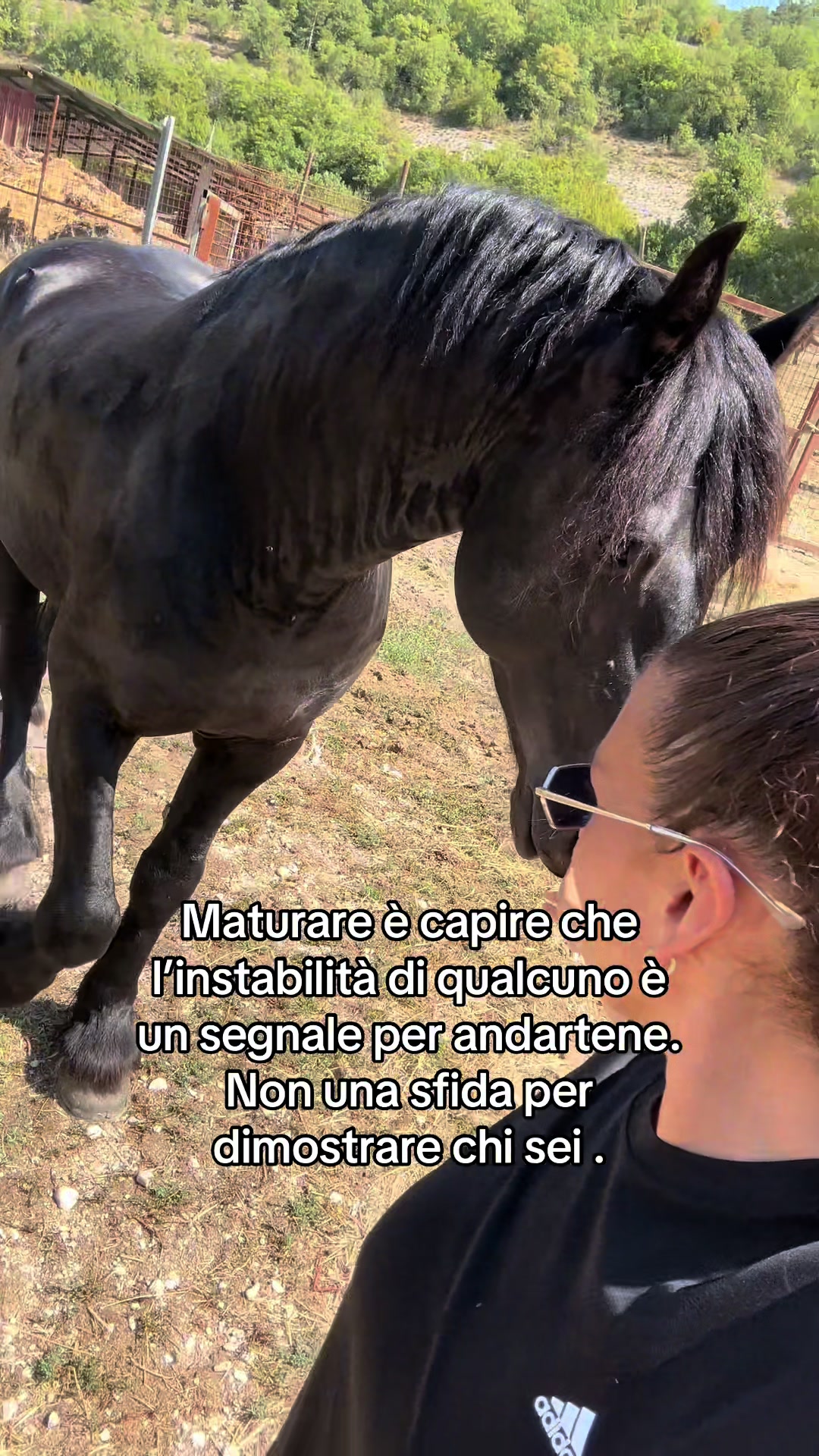 @black_the_friesian